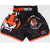 SUOTF MMA Tiger Muay Thai boxing