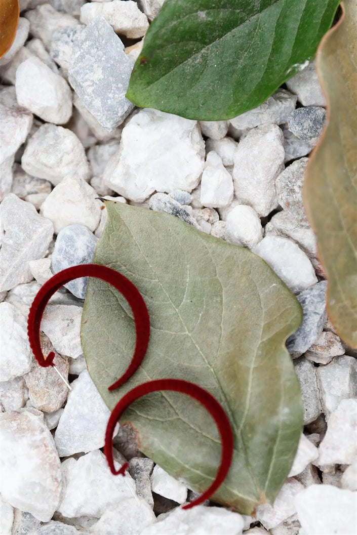 Burgundy Velvet Covered Flat Hoop Earrings - My Store