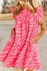 Pink Zebra Stripe Printed Ruffle Trim Pocketed Dress - My Store