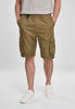 Double Pocket Cargo Shorts - My Store