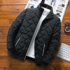 Men's Cotton Padded Jacket - My Store